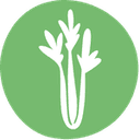 celery