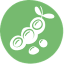 soya